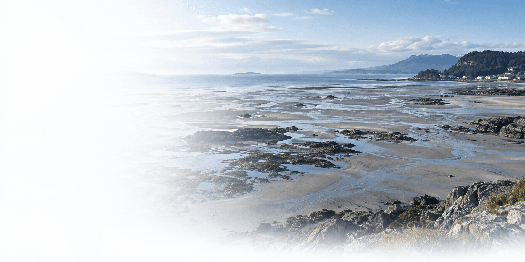 Illustration of a coastline with dramatically receding ocean and exposed seabed